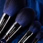 10-Piece Makeup Brush Set with Gift Box & Storage Bag